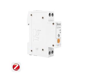 SONOFF BASIC-ZB1GSP Interrupteur connecté sur rail DIN Zigbee 3.0 32A suivi consommation protection surcharge bipolaire domotique