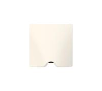 Sortie de câble IP21 DOOXIE livrée complète avec plaque finition blanc LEGRAND 600323