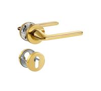 SORWDUERM Poignée de Porte Doré PVD, Garniture de Prothèse en Acier Inoxydable Mat, Poignée pour Porte d'Entrée et Porte Intérieure, Forme en L, Rosace Ronde, PZ - Cylindre de Profil
