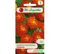 Souci Carmen rouge acajou 1,50 g