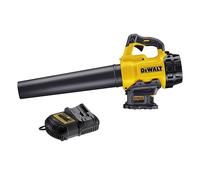 Souffleur 18V DEWALT DCM562P1-QW une batterie 5,0 Ah