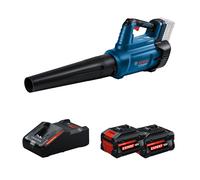 Souffleur 18V GBL 18V-750 + 2 Batteries EXPERT 8 Ah + 1 Chargeur EXAL18V-160 BOSCH