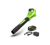 Greenworks POWERALL 24V Souffleur 177 km/h - Batterie 4Ah