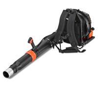 FUXTEC Souffleur de feuilles à essence FX-LBP185TPRO à dos