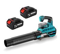 Souffleur Batterie avec Batterie 2X 4,0Ah 21V 80m/s Souffleur de Feuilles sans Fil, Soufflage, souffleur électrique Feuilles Mortes pour Souffler Les Feuilles, la Neige, la Poussière et Les Débris