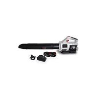 Souffleur Cyclonique sur Batterie XPSE40LIBL-2B - 40V - Air 198 KM/H - 2x BATTERIES XPBAT4A + Chargeur