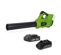 Souffleur de Feuilles Sans Fil 20V + Batterie 2Ah + Chargeur rapide 2 Vitesses Nettoyage Terrasse Allée Jardin VITO