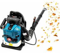 Souffleur de feuilles à essence, 75,6 ccm, 4 temps, à porter sur le dos. Vitesse variable continue. Idéal pour l'entretien des jardins, des pelouses et des espaces extérieurs. Puissance : 2600 W, débi