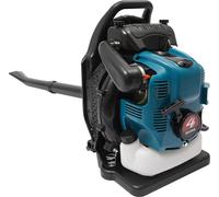 Souffleur de feuilles à sac à dos - Essence 4 temps - Moteur 75,6 cm³ - Refroidi par air - 112 dB - Pour le jardinage et le nettoyage des rues
