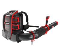 Einhell PROFESSIONAL – Souffleur de feuilles sans fil GP-LB 36/280 Li E BL-Solo, référence 3433580