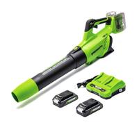 Greenworks TOOLS Souffleur de feuilles POWERALL GD24X2ABK2X 48V (2x24V) sans fil 217 km/h - 2x2Ah