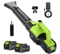 Souffleur de feuilles sans fil, 21 V, moteur sans balais, 2 batteries + chargeur, débit d'air de 450 m³/min