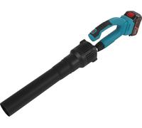 Souffleur de feuilles sans fil, 21V 600W, sans fil, rechargeable, batterie et chargeur inclus
