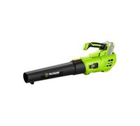 Souffleur de feuilles sans fil - Fieldmann - FZF 70605-0