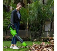 Souffleur de feuilles sans fil Greenworks GD24X2AB; 48 V (sans batterie et chargeur)