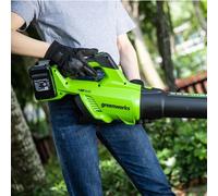 Greenworks TOOLS Souffleur de feuilles POWERALL GD24X2ABK2X 48V (2x24V) sans fil 217 km/h - 2x2Ah