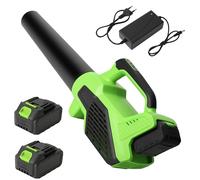 Souffleur de feuilles - Souffleur de feuilles électrique sans fil - Sans balais - 15000 tr/min - 6 vitesses - 2 batteries - Pour feuilles, poussière et neige