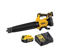 Souffleur de feuilles XR 18V (1x5,0 Ah) - DEWALT DCMBL562P1-QW