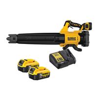 Souffleur de feuilles XR 18V (2x5,0 Ah) - DEWALT DCMBL562P2
