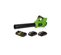 Souffleur de jardin 40V + 2 Batteries lithium 2AH + Chargeur DOUBLE VITO