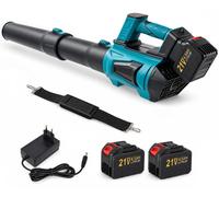 Souffleur sans fil - 21 volts, batterie 2 x 4500 mAh - Débit d'air : 765 m³/h - Couleur : bleu
