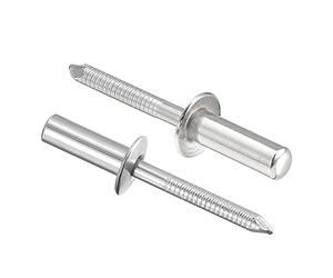 sourcing map Rivets aveugles, rivets de tirage en acier inoxydable 304, rivets de décoration à noyau, 6,4 mm de diamètre, longueur de prise de 20 mm, extrémité fermée ton argent, 25 pièces