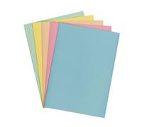 Sous-chemise recy Exacompta 22 x 31 cm couleurs assorties - Paquet de 250