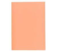 Sous-chemise recy Exacompta - 22 x 31 cm saumon - Paquet de 250