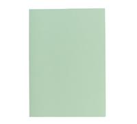 Sous-chemise recy Exacompta - 22 x 31 cm verte - Paquet de 250
