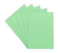 Sous-chemise standard 60 g 22 x 31 cm couleur - Paquet de 100 (Vert)