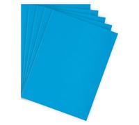 Sous-chemise standard 80 g Bruneau 22 x 31 cm bleue - Paquet de 100 - Sous-chemises - Bruneau
