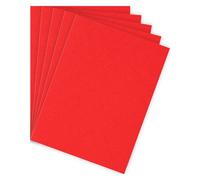 Sous-chemise standard 80 g Bruneau 22 x 31 cm rouge - Paquet de 100 - Sous-chemises - Bruneau