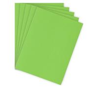 Sous-chemise standard 80 g Bruneau 22 x 31 cm verte - Paquet de 100 - Sous-chemises - Bruneau