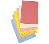 Rainex 61 RS 250 Sous-chemises 60 g 22 x 31 cm Rose