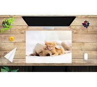 Sous-main pour enfants et adultes - « Amitié entre chat et chien » - En vinyle durable de qualité supérieure (sans plastique sans BPA) - 70 x 50 cm - Fabriqué en Allemagne