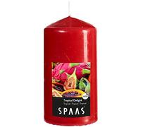 SPAAS Bougie Pilier Cylindre 80/150 mm, ± 65 heures - Tropical Delight
