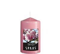 Spaas Lot de 12 Bougies cylindriques parfumées en Cire de Paraffine Rose Blush D 60 mm x H 100 mm