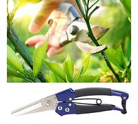 Spacnana Ciseaux de Cueillette de Fruits, Lame en Acier au Carbone de 8 | Corps incurvé allongé, action à ressort, poignée caoutchoutée antidérapante, récolte de baies de verger, fleurs mortes.