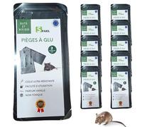 SPARIL Piège à Rat et Souris Colle Glu Ultra Forte 10 Plaques | Zéro intoxication | Hors de portée des enfants et animaux | Attrape efficace, appât intégré | Maison, jardin, garage, cave