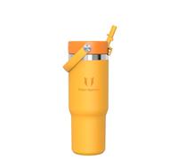 Sparrow Gourde Isotherme avec Paille 900ml -Tumbler Mug Isotherme Inox | Bouteille Isotherme Mug Gourde Inox de Voyage, Anti-Fuite sans BPA, Chaud & Froid, Lave-Vaisselle, Voiture, Porte-Gobelet