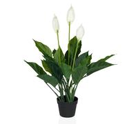 SPATHIPHYLLUM - Plante artificielle Vert/Blanc