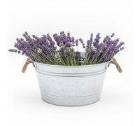 Spetebo Bassin décoratif en zinc 25 l avec poignées en corde de jute - 45 x 22 cm - Métal argenté galvanisé - Mini étang de jardin Mini étang Bac à fleurs Bac à fleurs Bac à fleurs Bac décoratif pour