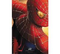 SPIDER-MAN 2 - 106,9x158,6 cm - AFFICHE / POSTER G