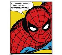 Spider-man - 40x50 cm - AFFICHE / POSTER G