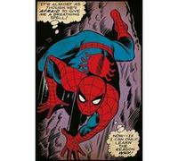 Spider-man - 61x91,5 cm - AFFICHE / POSTER G