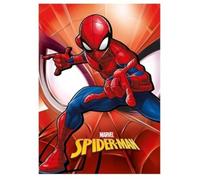 Spiderman Plaid Marvel