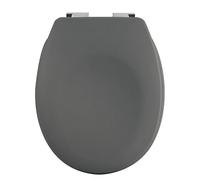 Spirella Couvercle de Toilette Ovale de qualité supérieure avec Finition Mate et Fermeture en Douceur Lunette de Toilette antibactérienne en Duroplast et Acier Inoxydable Gris