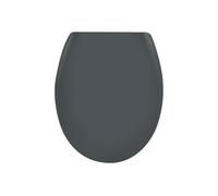 Spirella Sanitop-Wingenroth Abattant de WC Ovale avec Fonction de libération Rapide et Fermeture en Douceur Lunette de Toilette antibactérienne en Duroplast et Amovible en Acier Inoxydable Gris