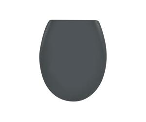 Spirella Sanitop-Wingenroth Abattant de WC Ovale avec Fonction de libération Rapide et Fermeture en Douceur Lunette de Toilette antibactérienne en Duroplast et Amovible en Acier Inoxydable Gris