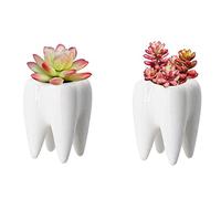 Spldsun Lot de 2 pots de fleurs en céramique blanc, forme de dent, intérieur, succulents, pot à crayons créatif 7x10 cm, décoration bureau domicile